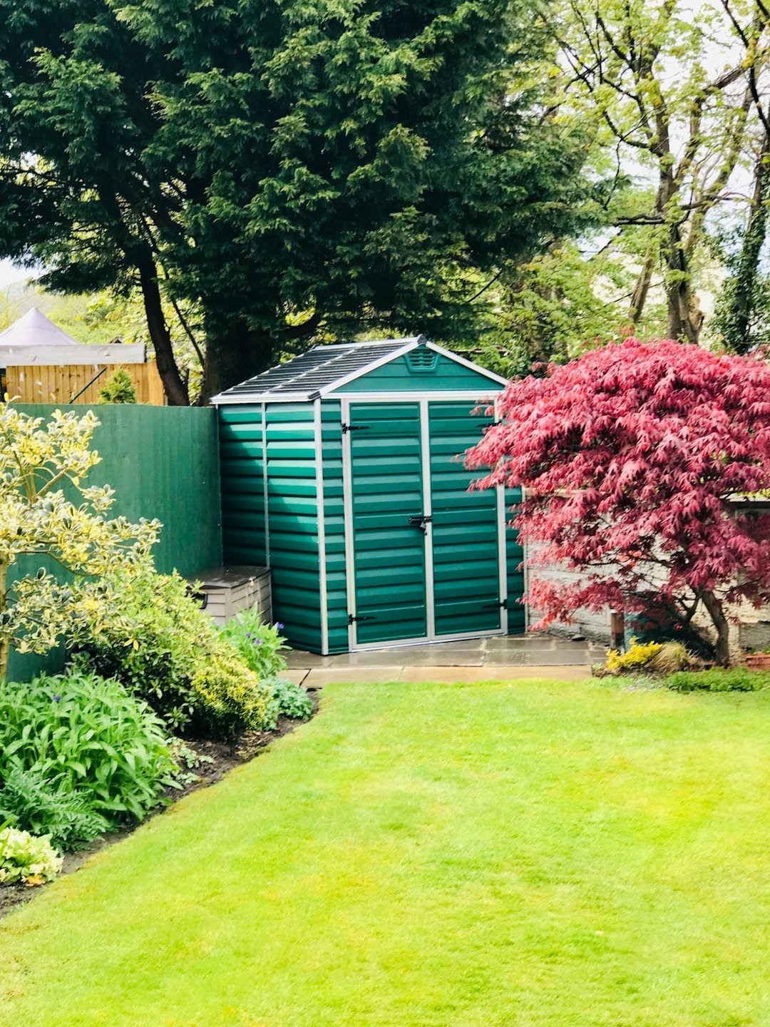 Corner section of small garden with shed and surrounding trees